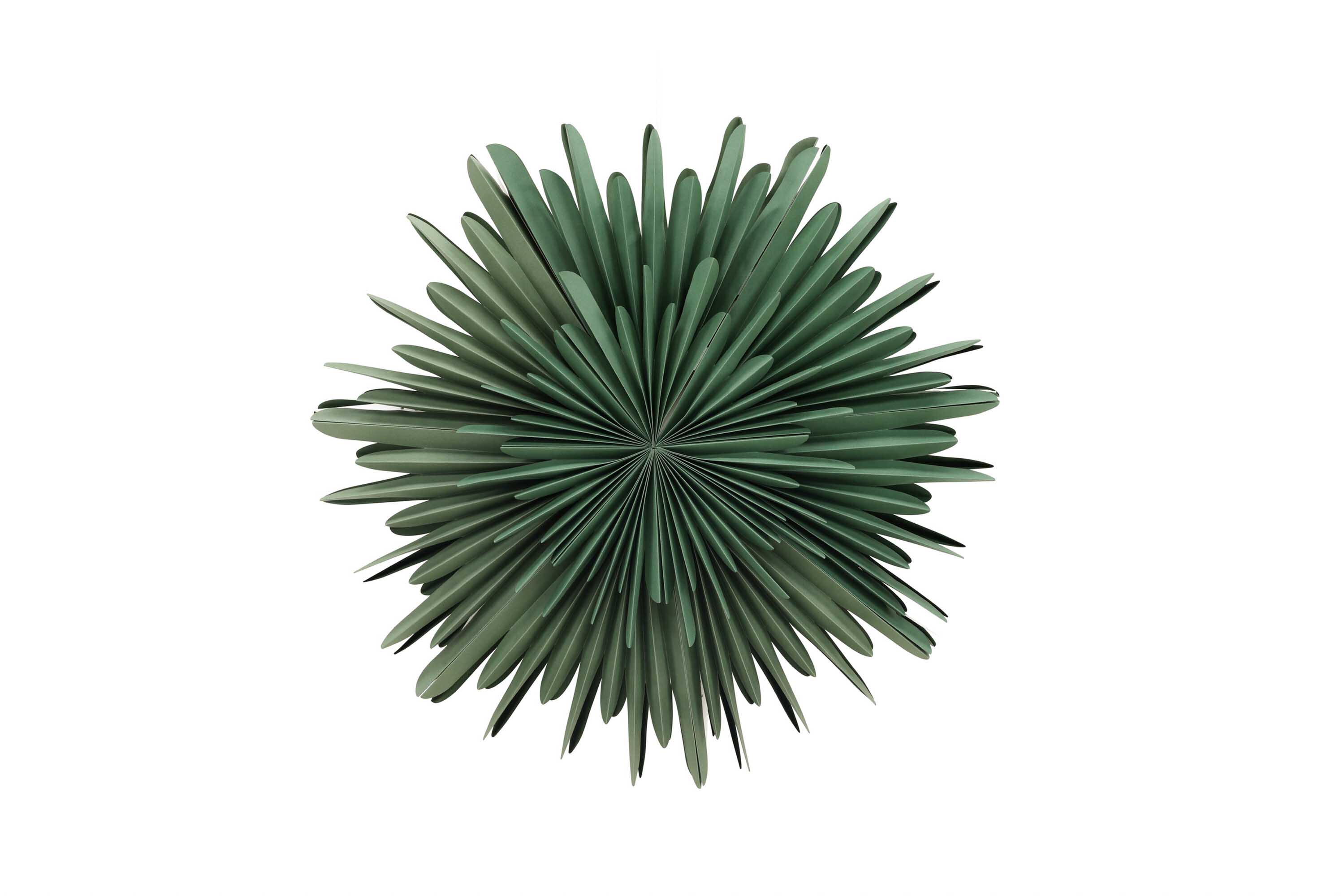 Sälen adventsstjerne