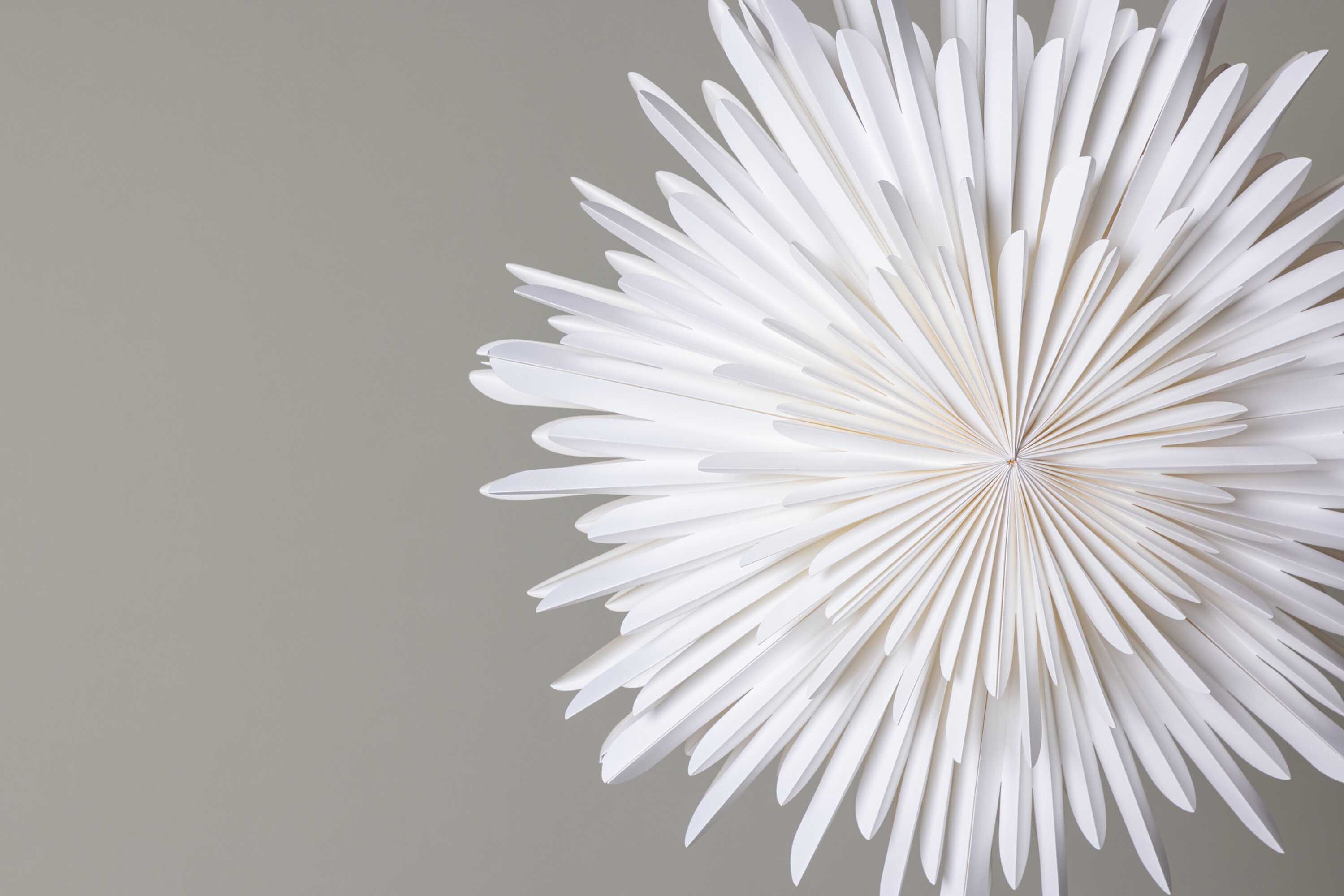 Sälen adventsstjerne