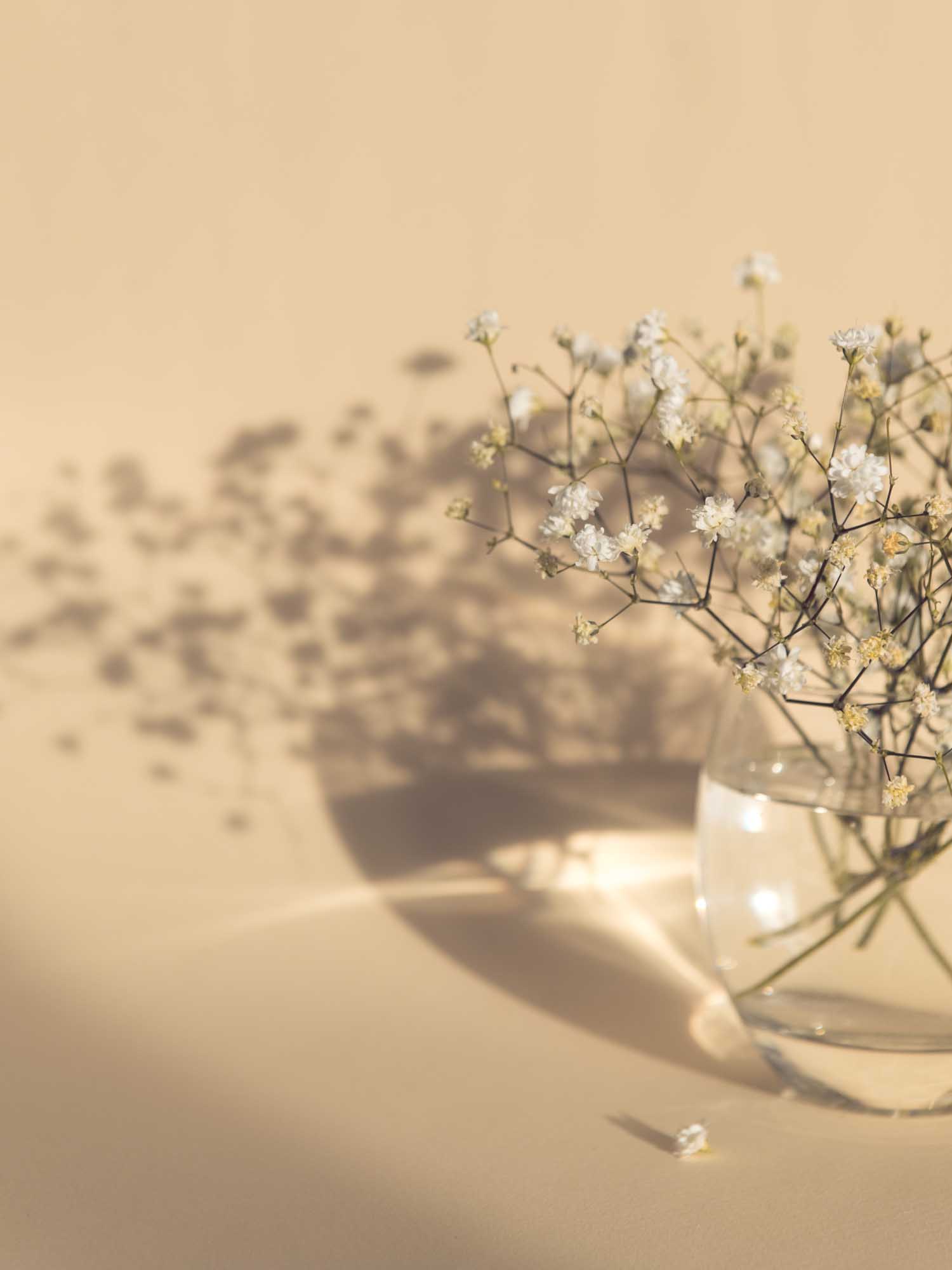 White flowers poster