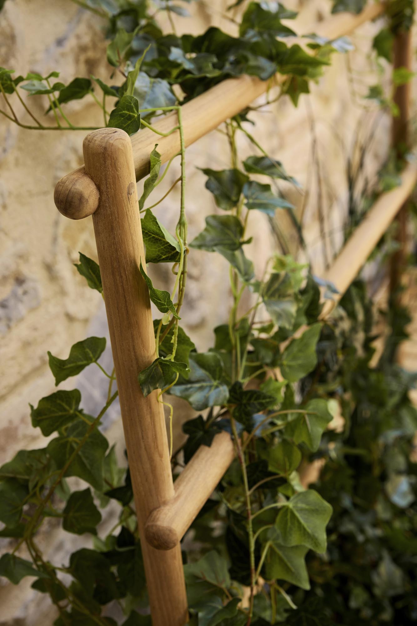 Sticks espalier