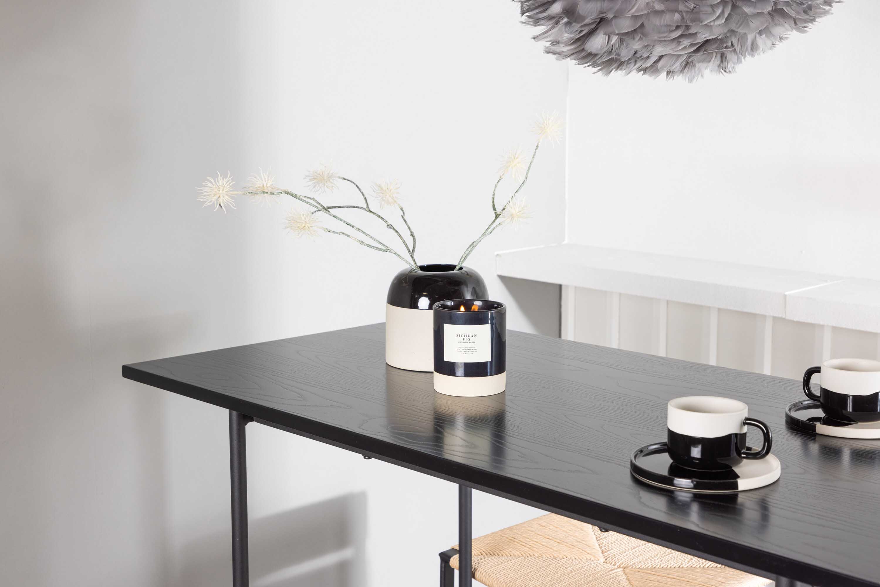 Rax & Polly bargrupp