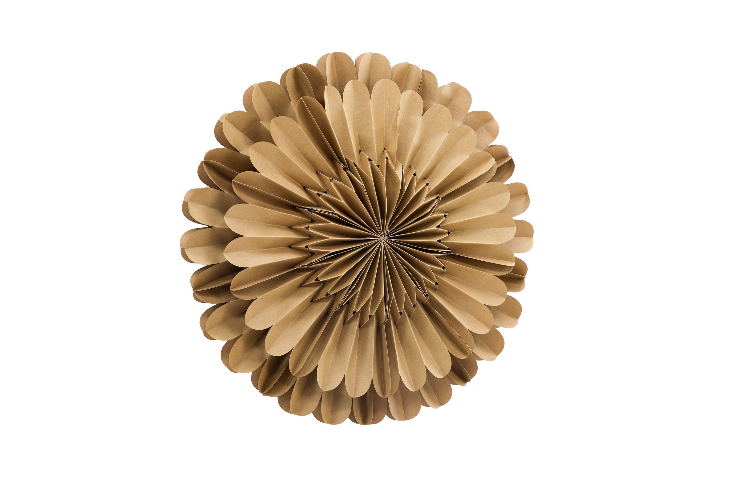 Järvsön adventsstjerne