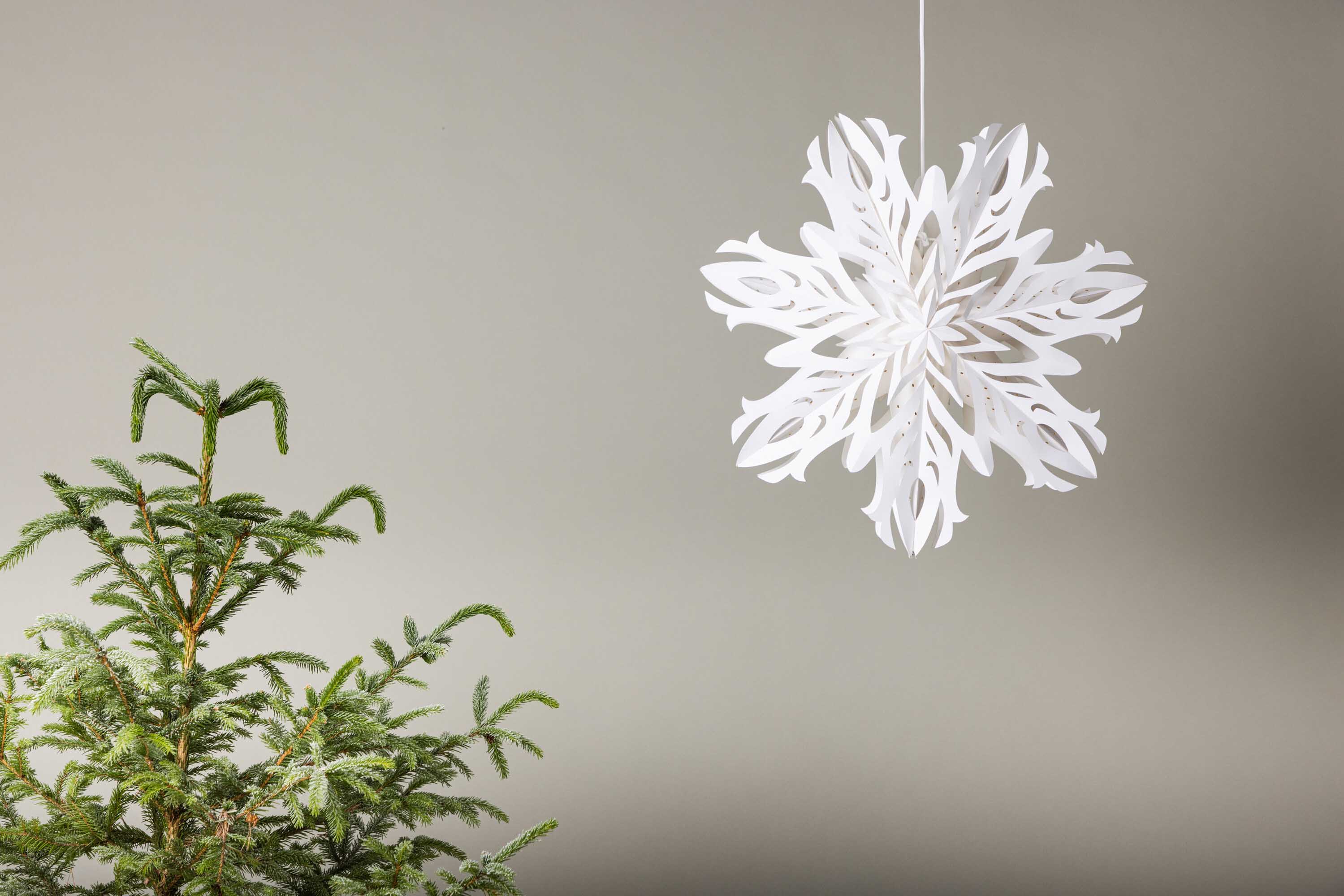 Hundfjället adventsstjerne