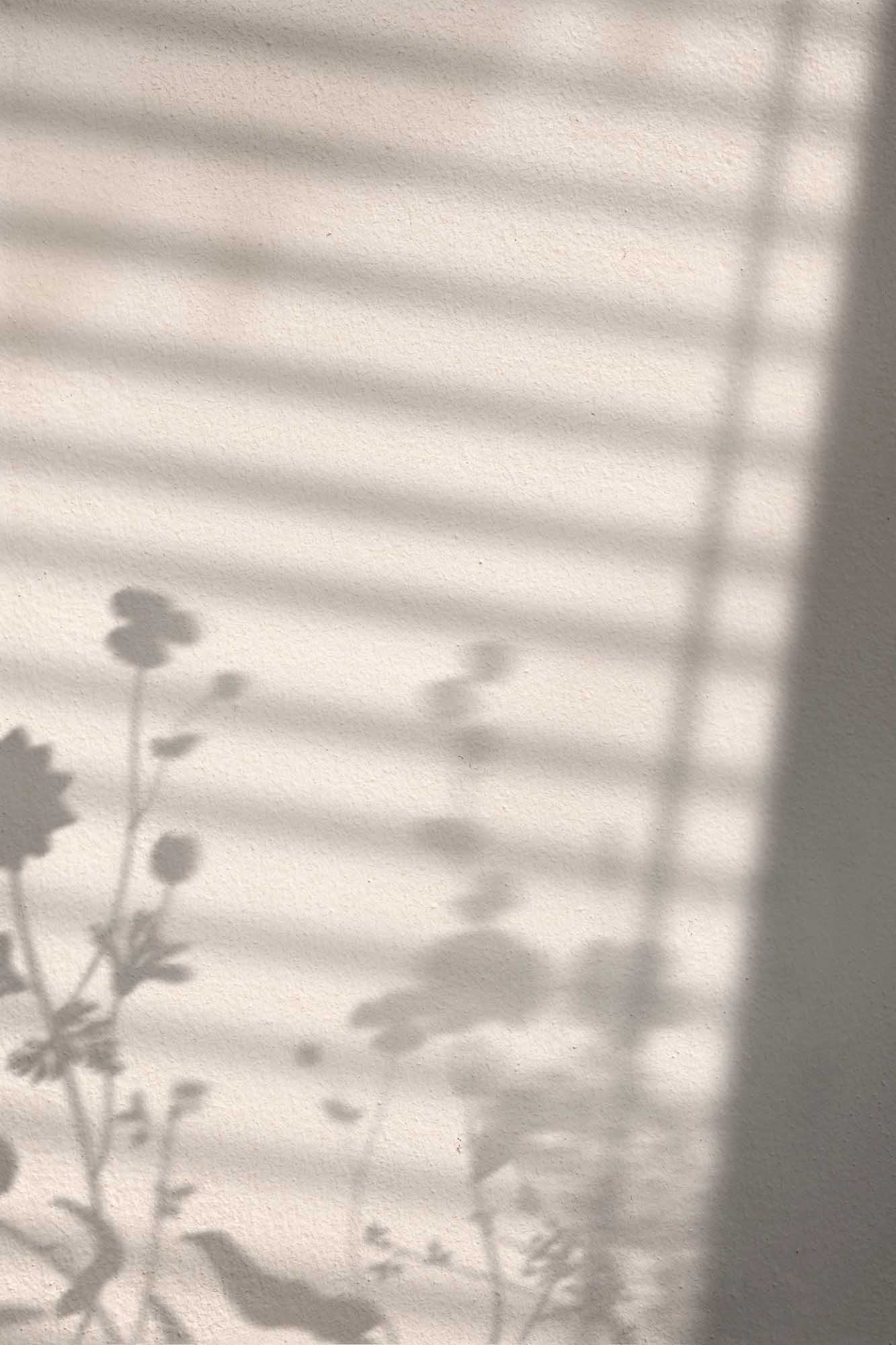 Flower shadow poster