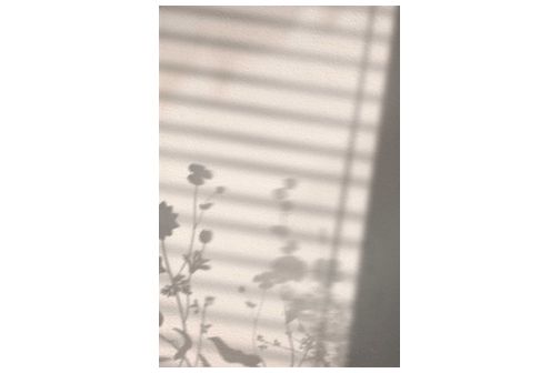 Flower shadow poster