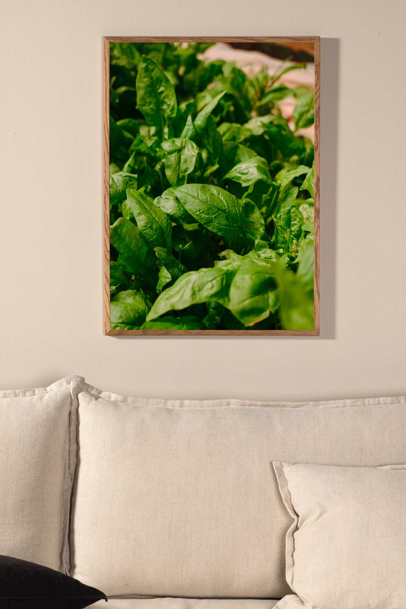 Green leaf poster