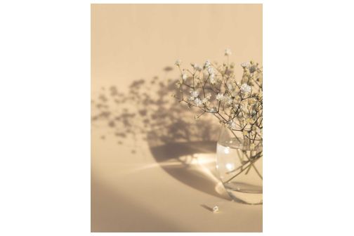 White flowers poster