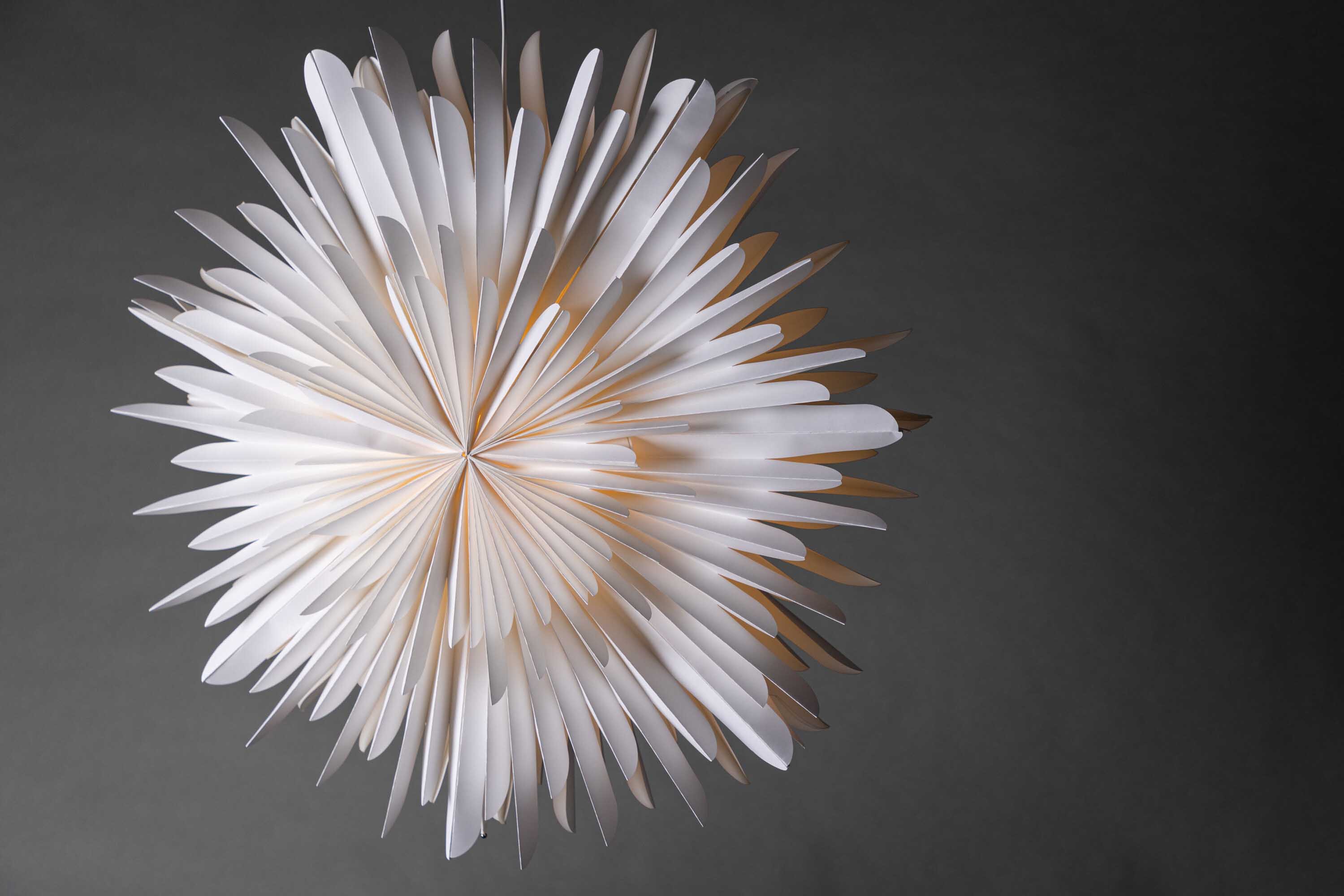 Sälen adventsstjerne