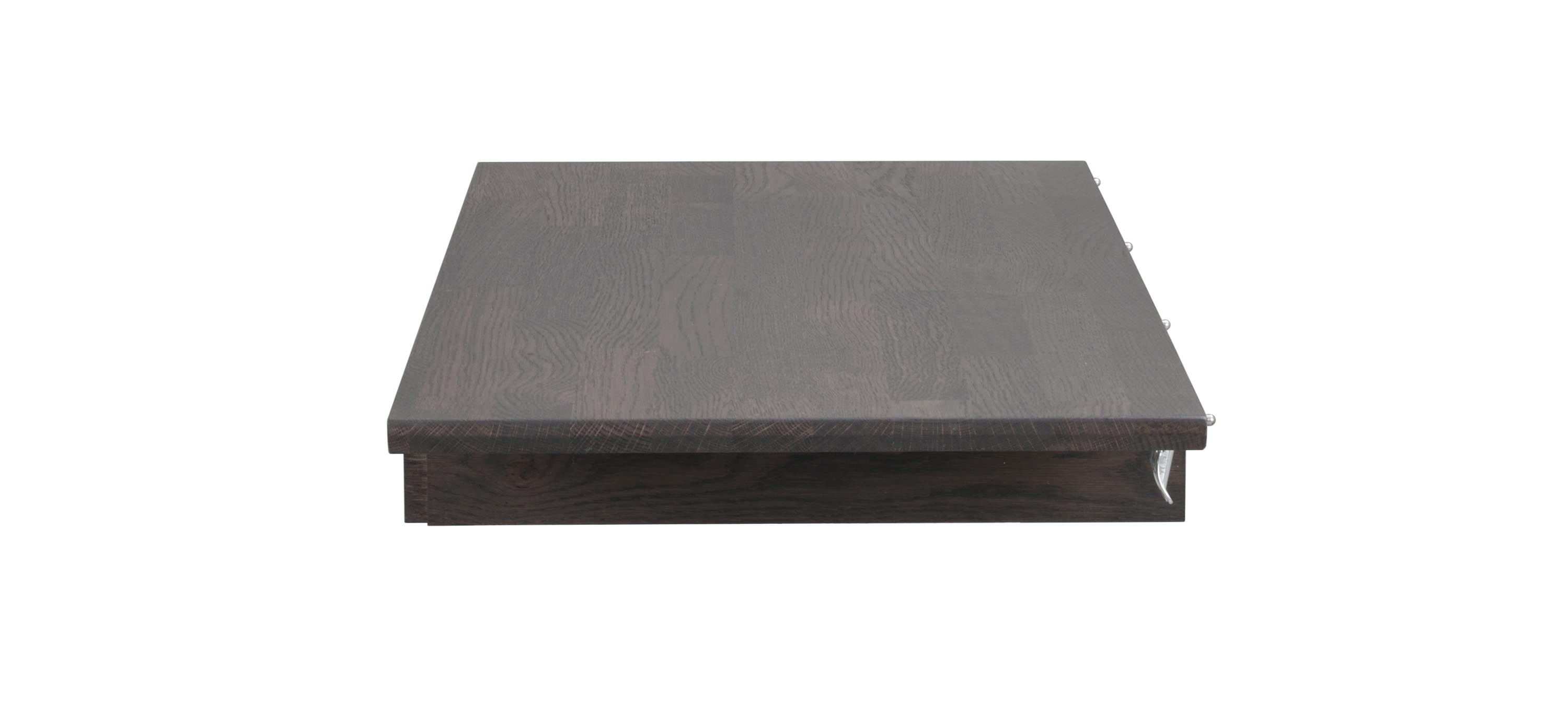 Filippa iläggsskiva