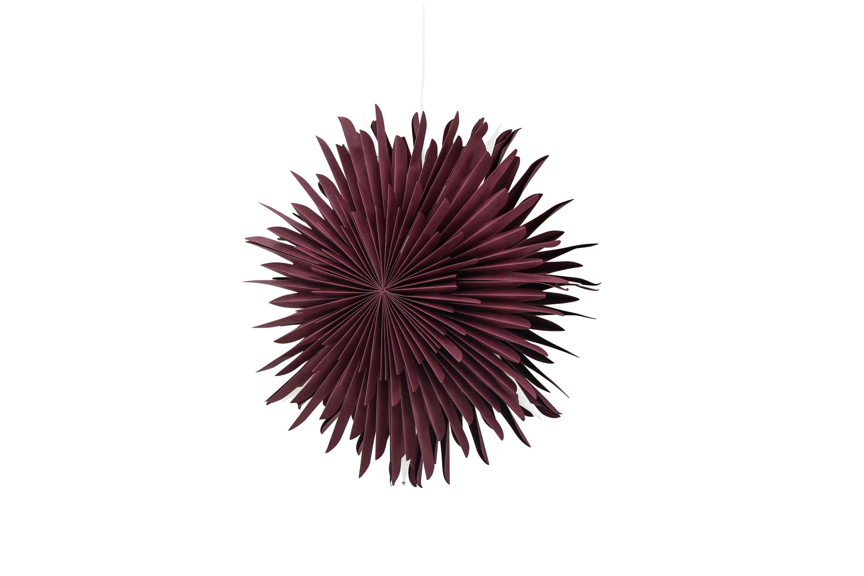 Sälen adventsstjerne