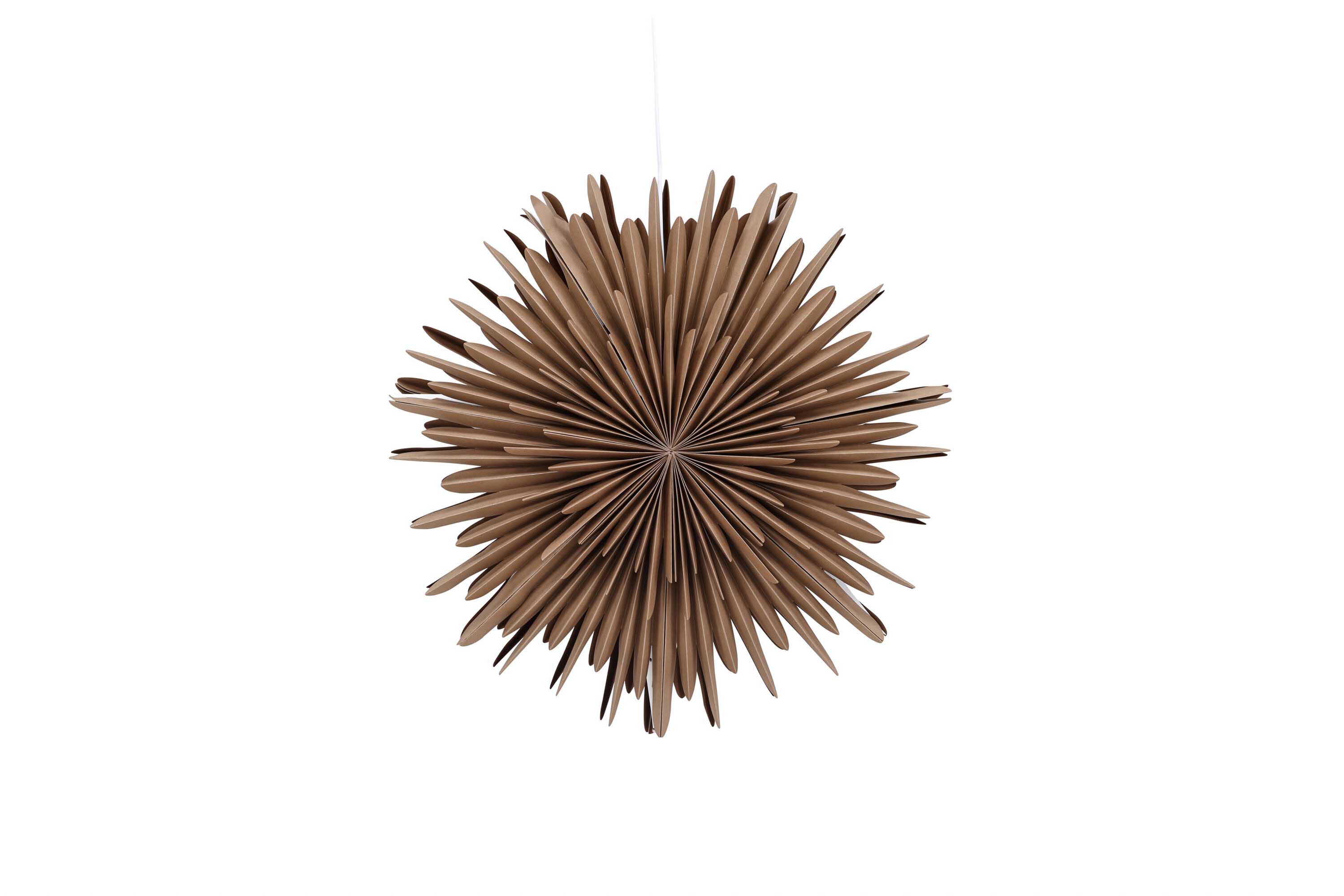 Sälen adventsstjerne