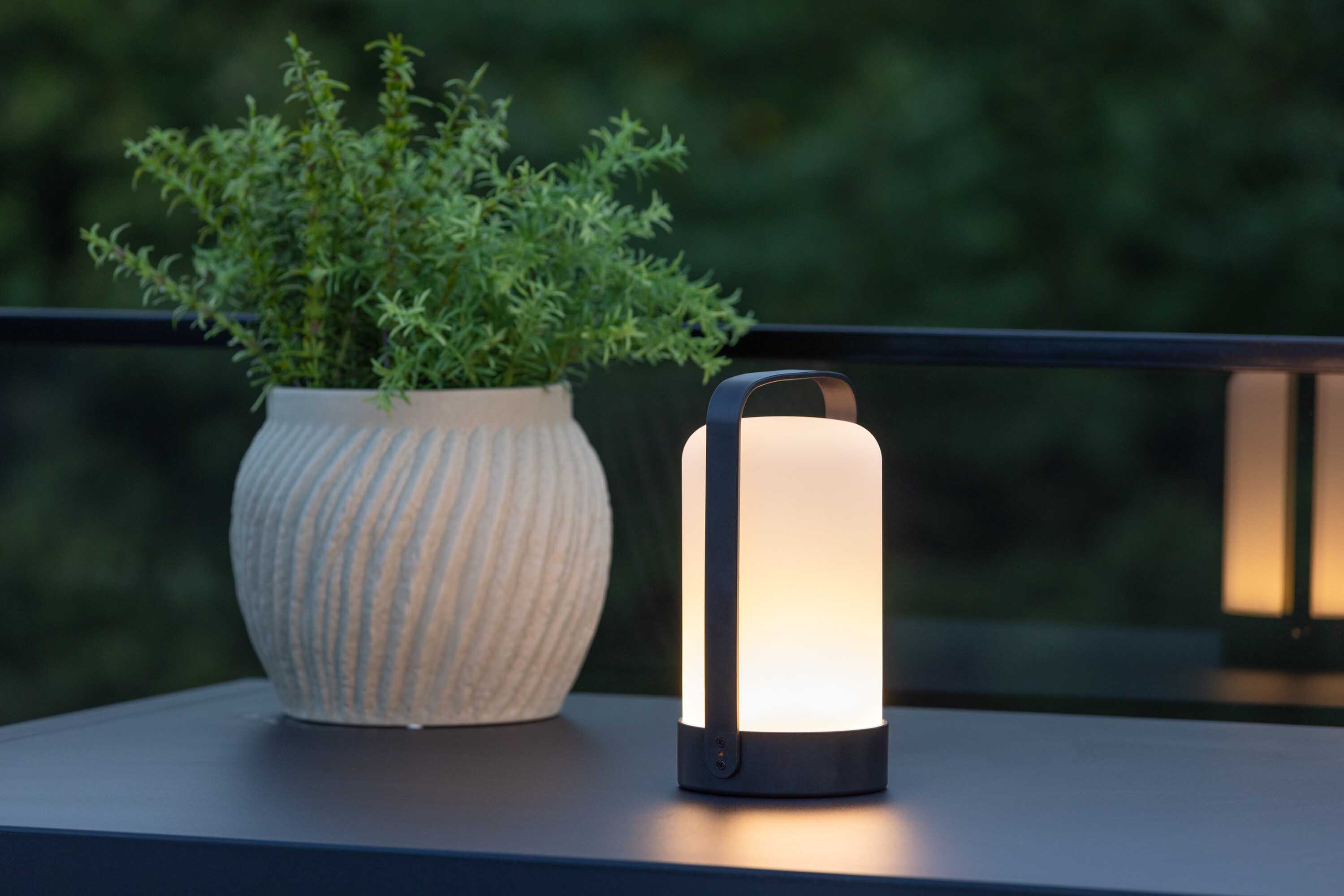 Fern bordslampa