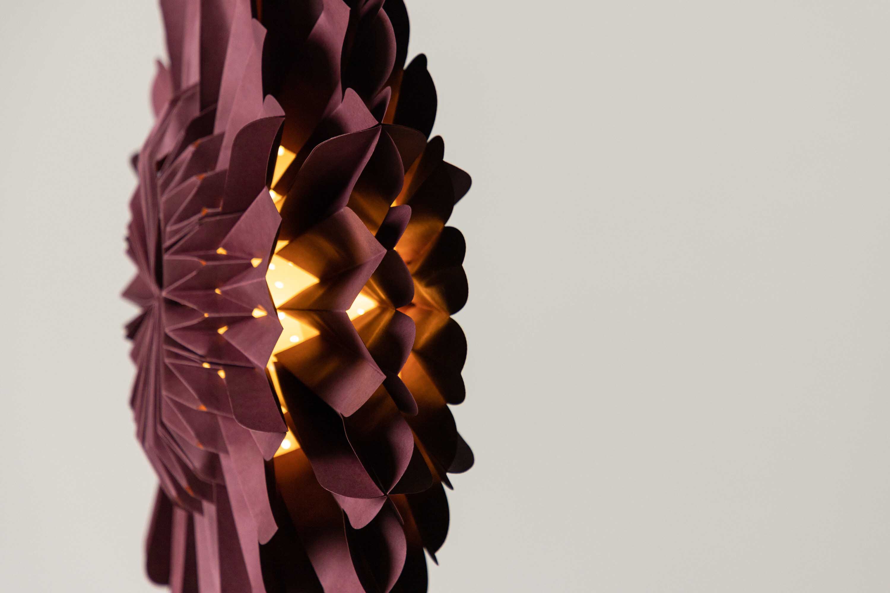 Järvsön adventsstjerne