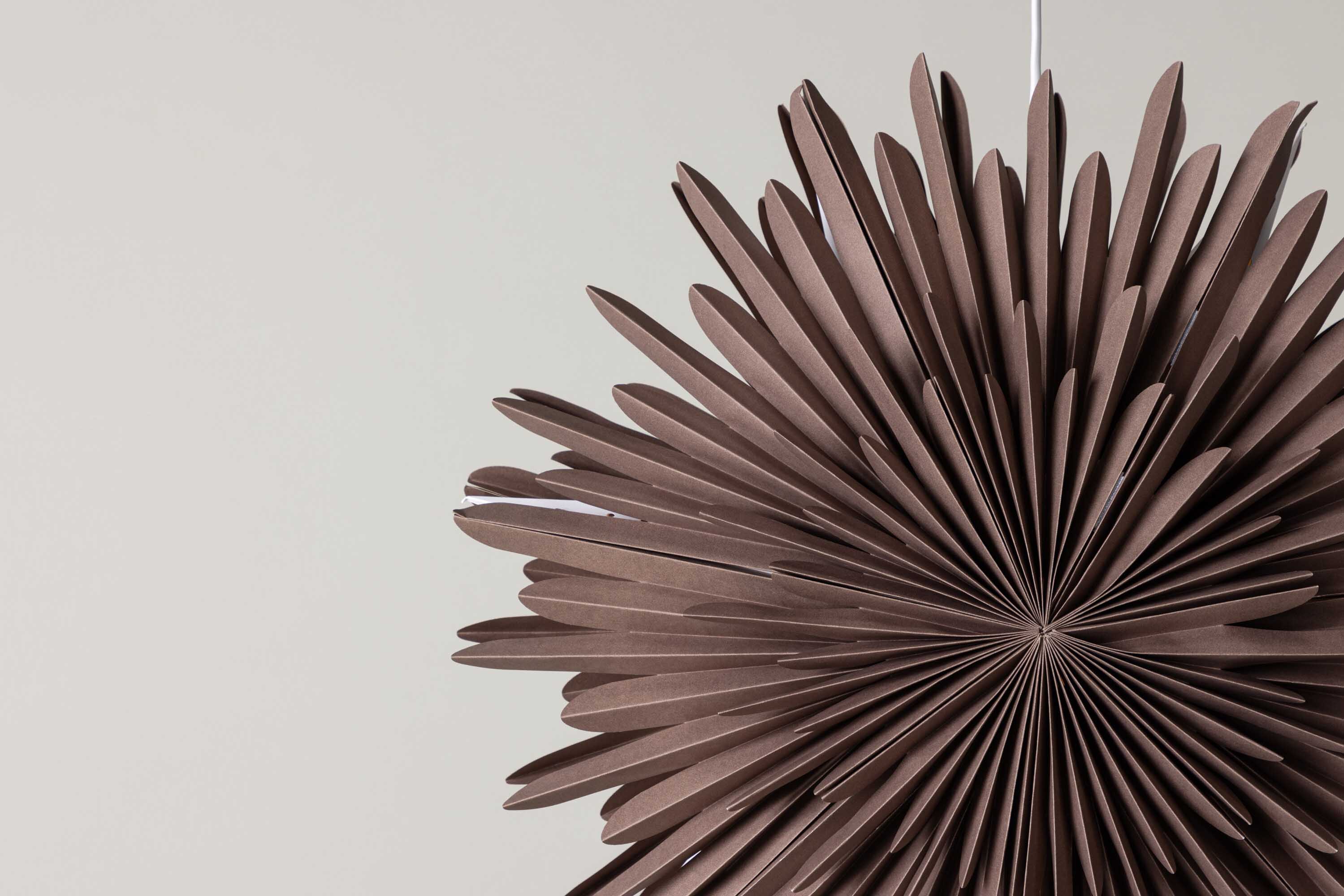 Sälen adventsstjerne