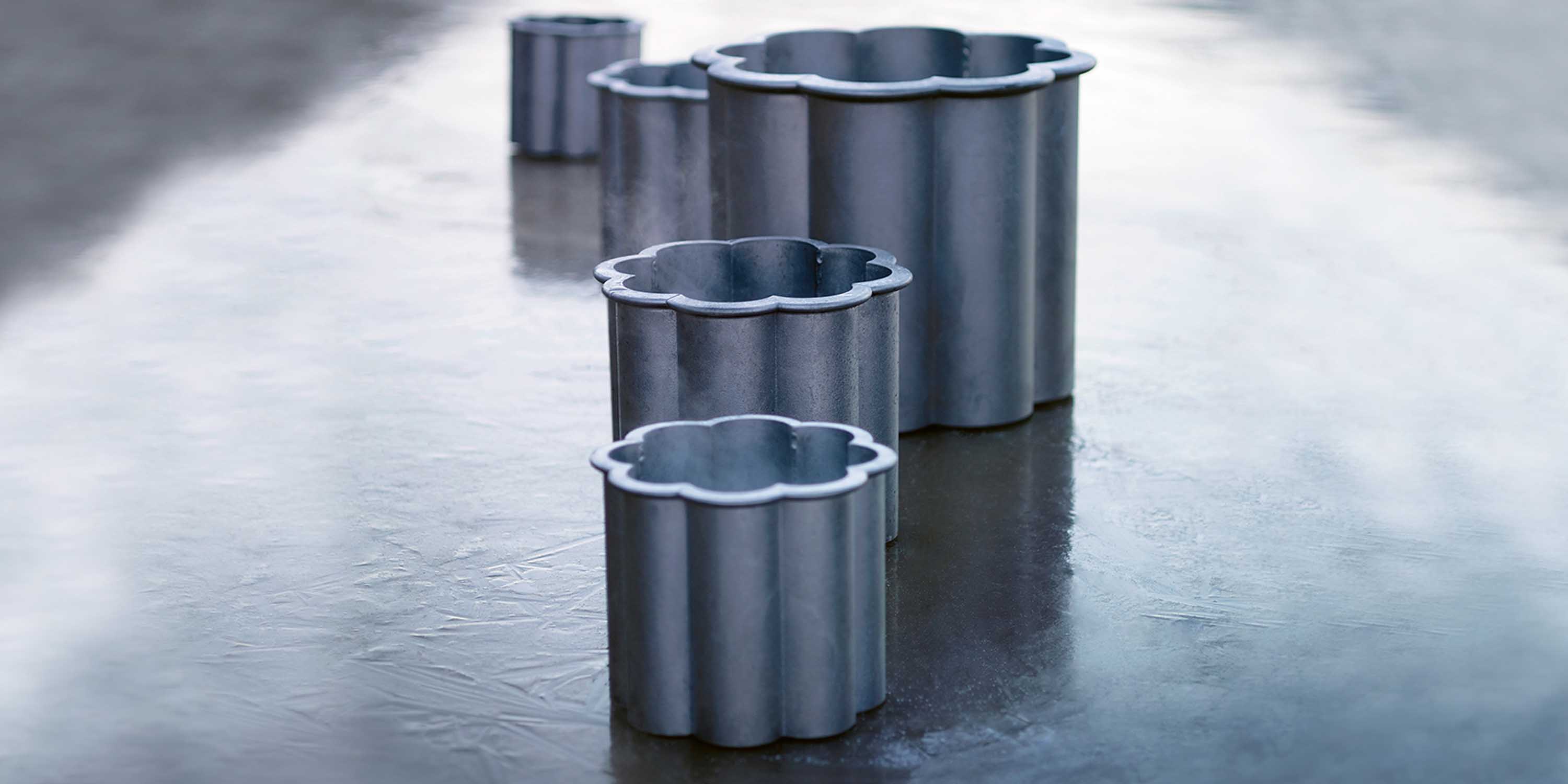 Gråsippa plantekar no.2