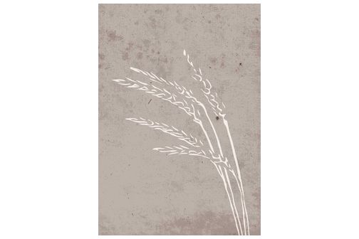 Seeds poster