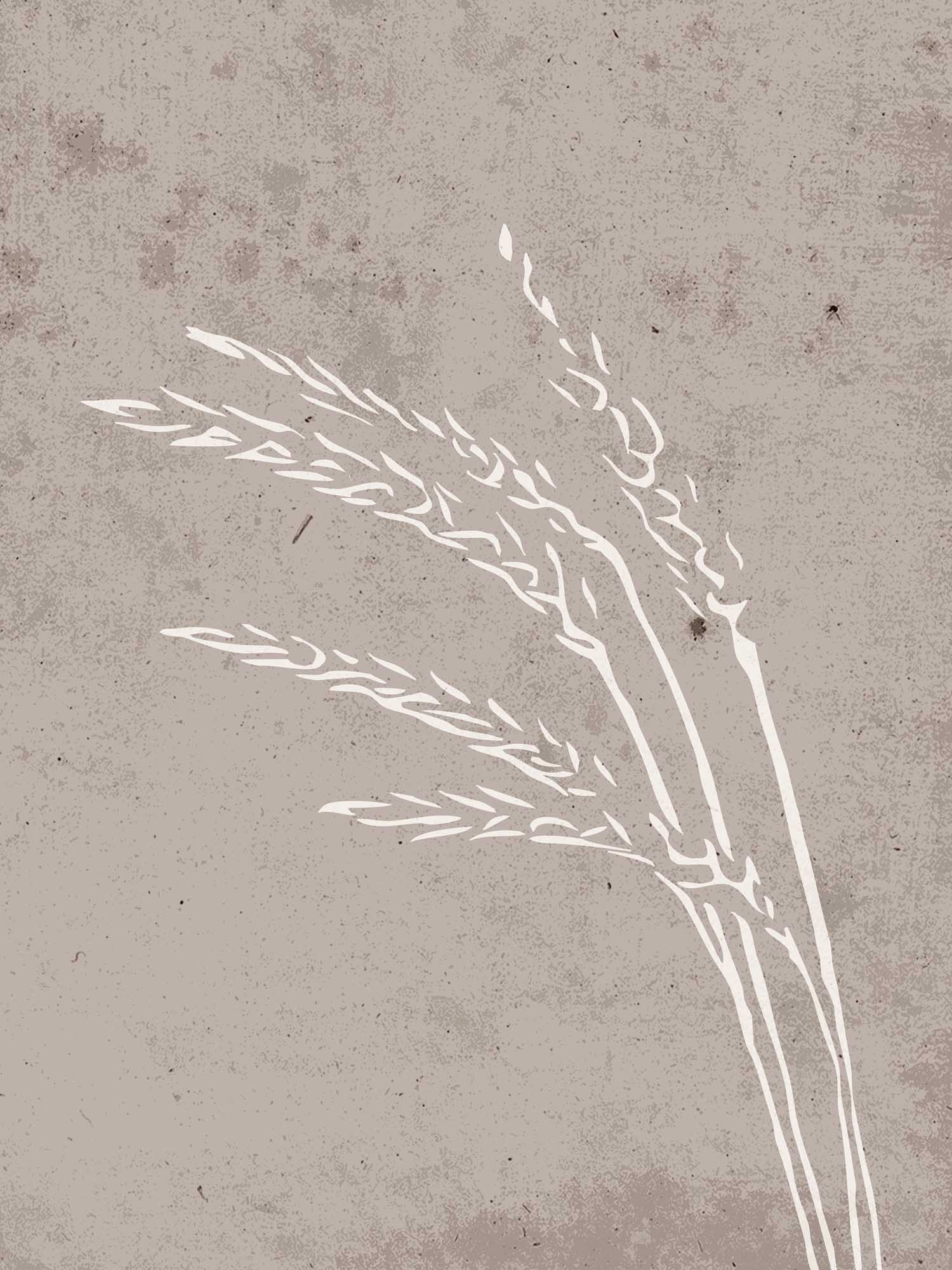 Seeds poster