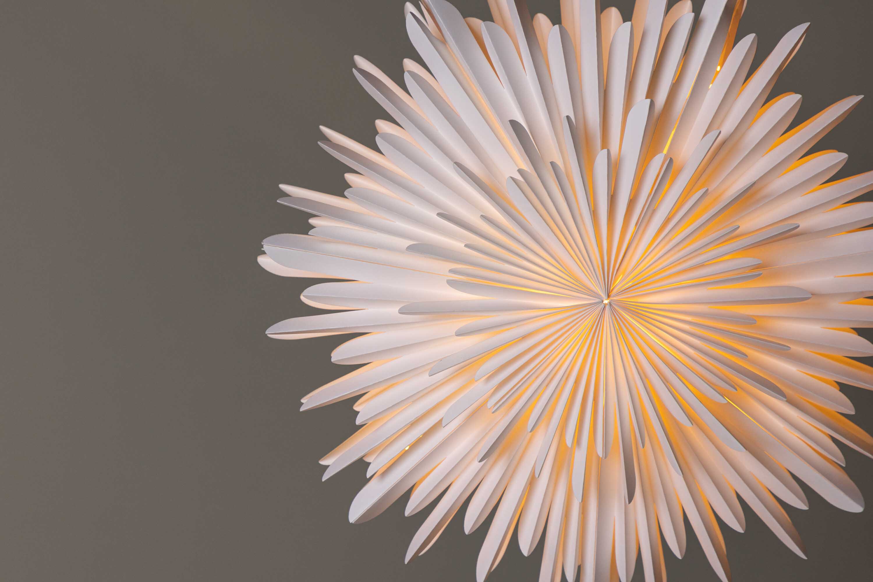 Sälen adventsstjerne