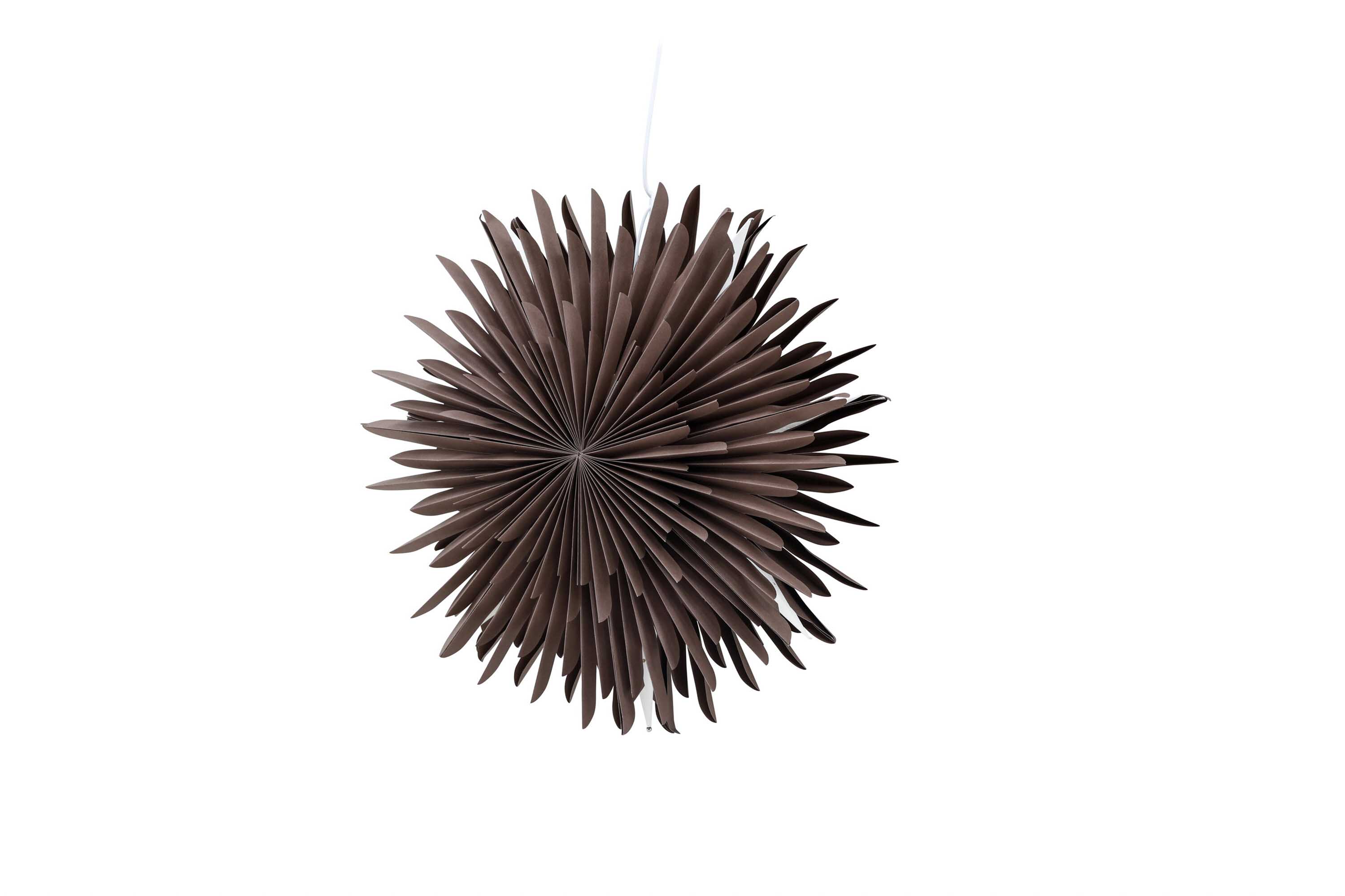 Sälen adventsstjerne