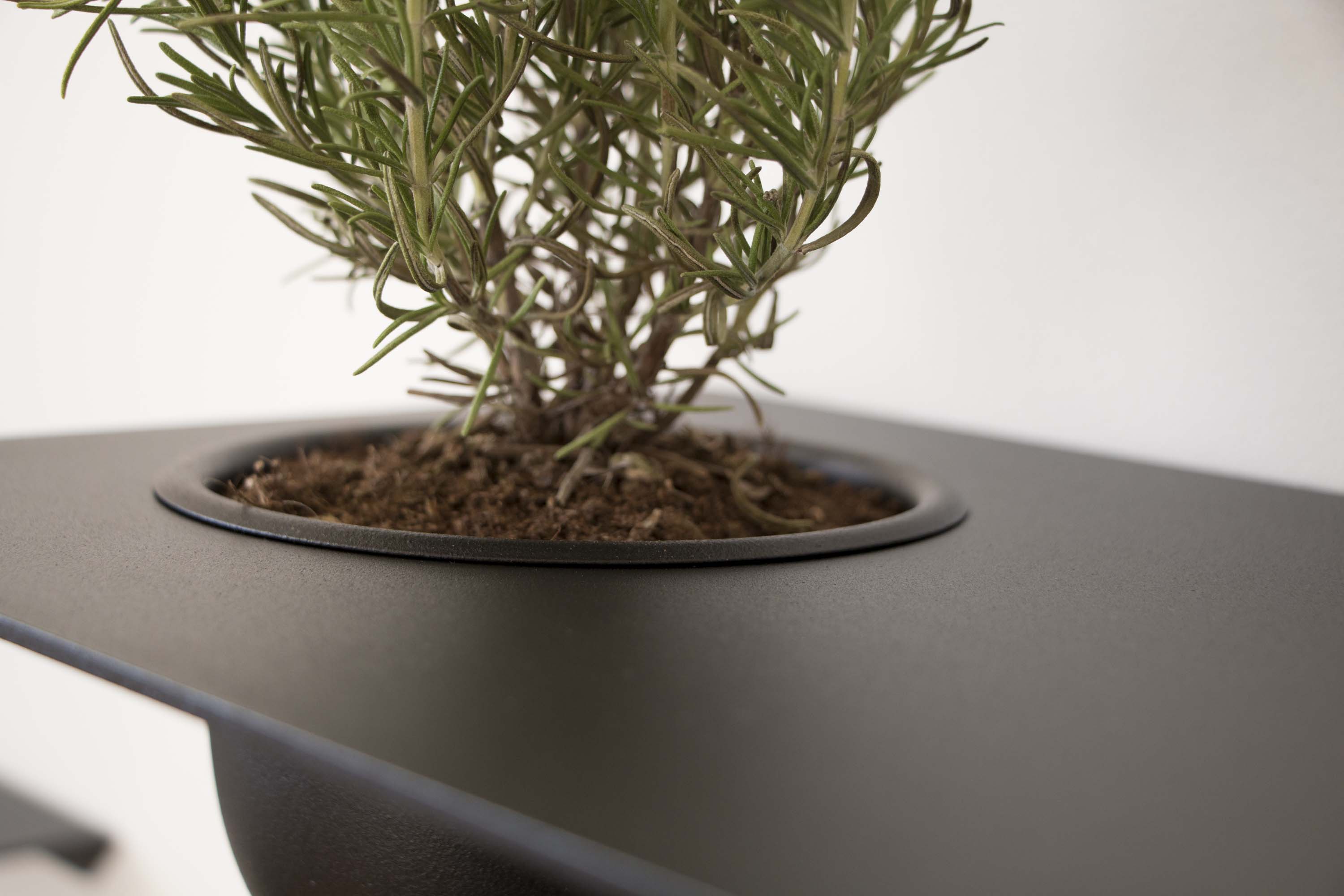 SHELVE01 hylla med skål