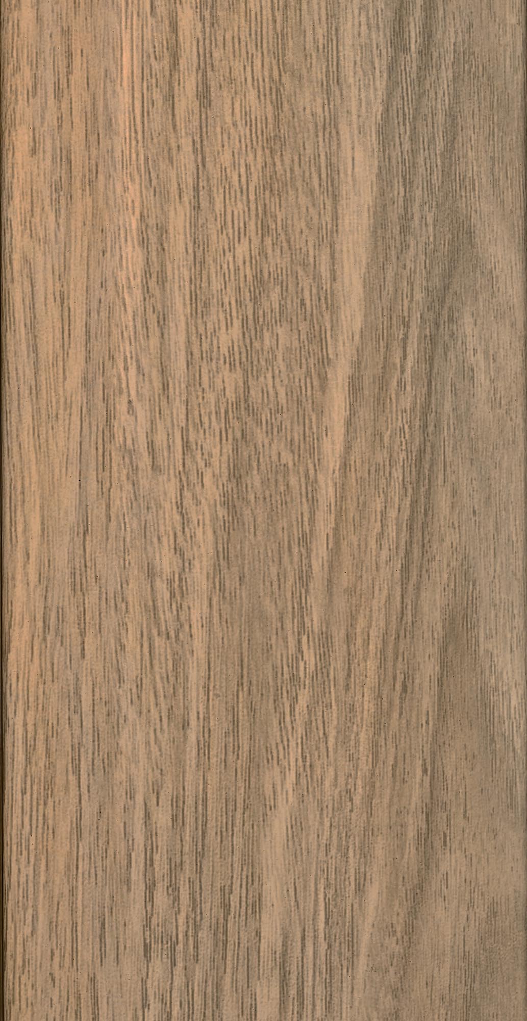 Challenger T2 aurinkovarjo