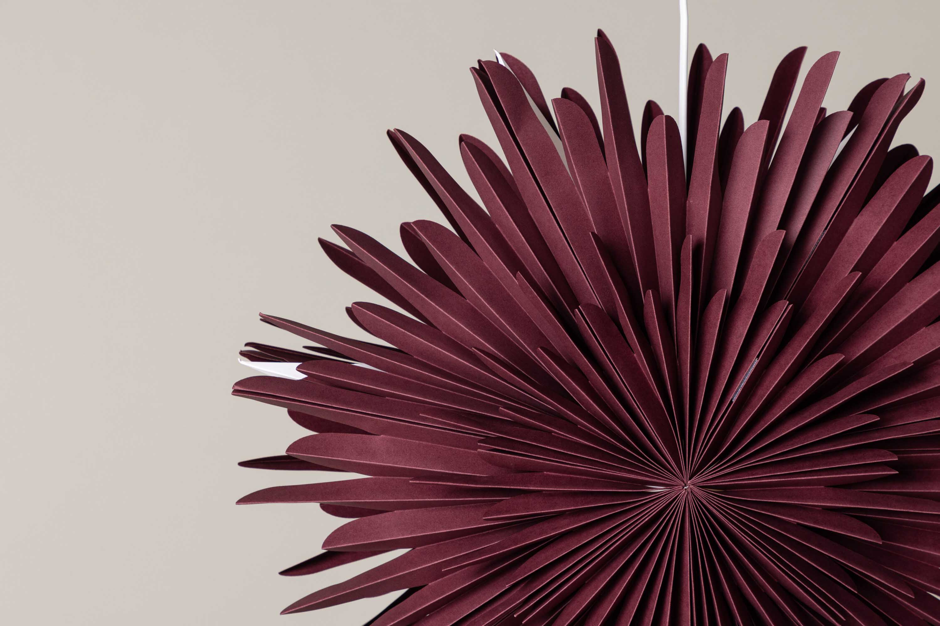 Sälen adventsstjerne