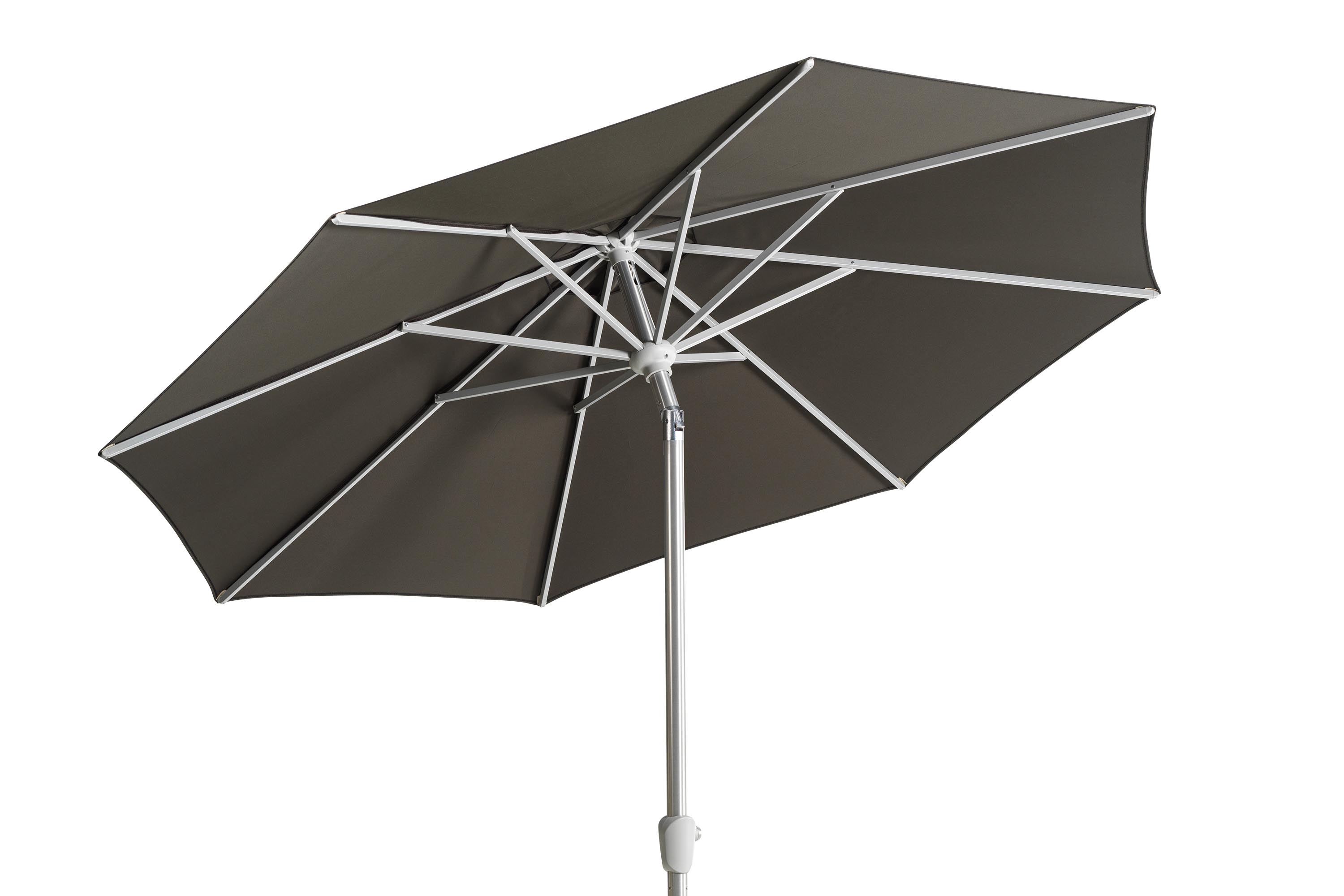 Abriola päivänvarjo