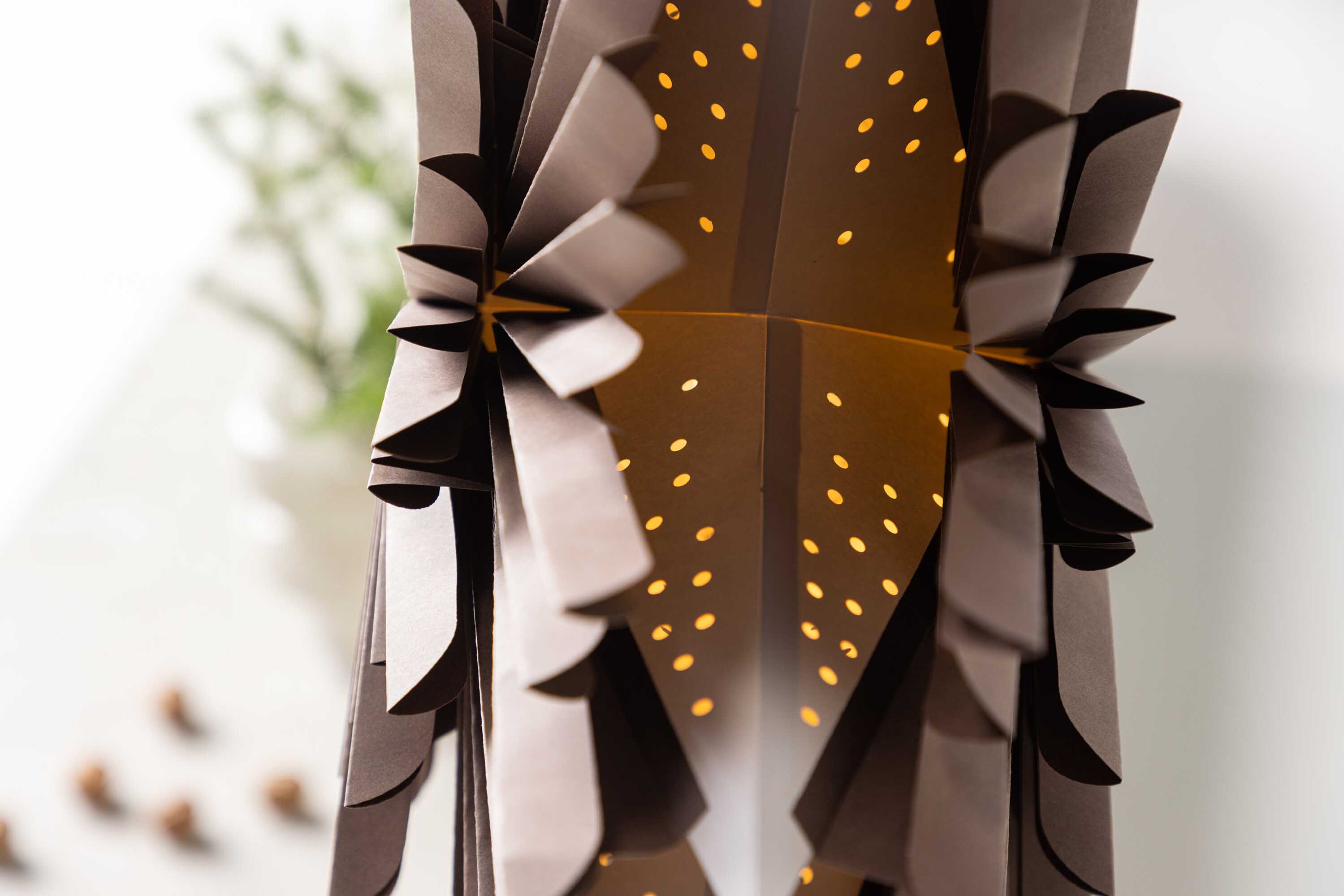 Sälen adventsstjerne