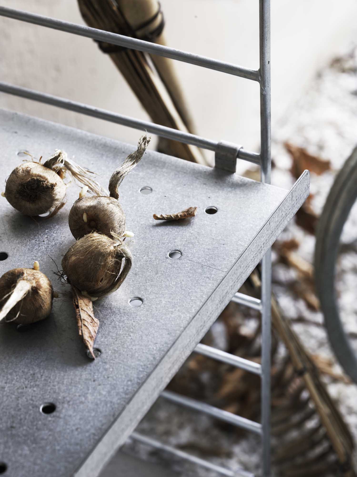 String Outdoor hyllplan