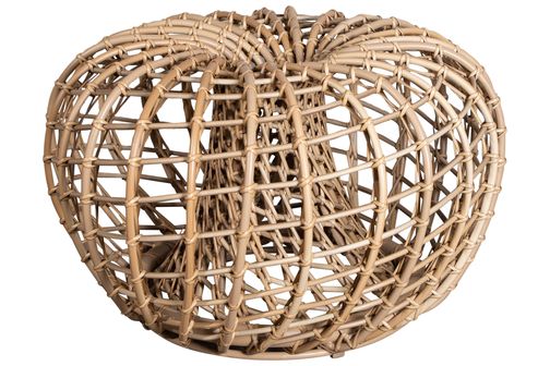 Nest rahi