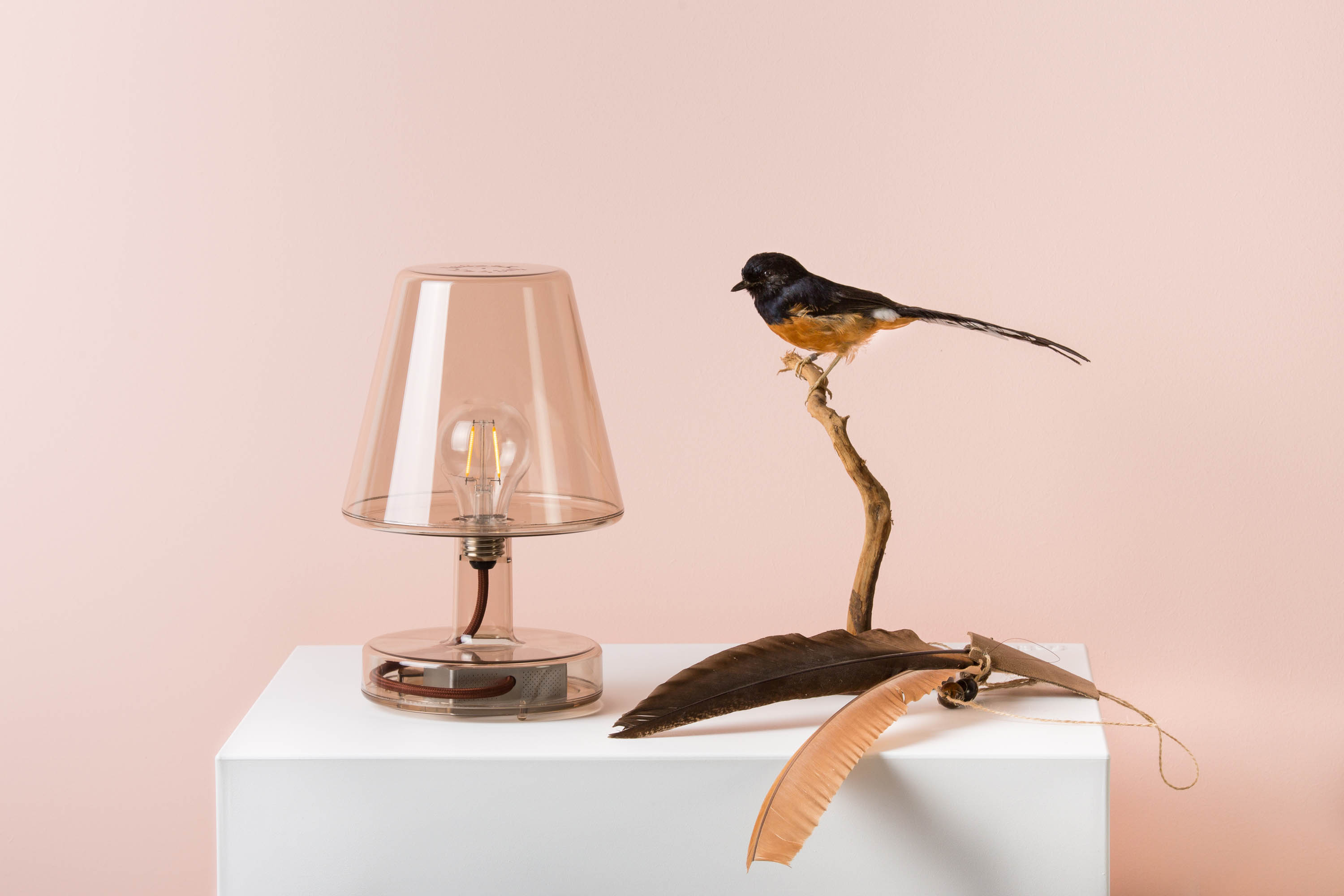 Transloetje bordslampa