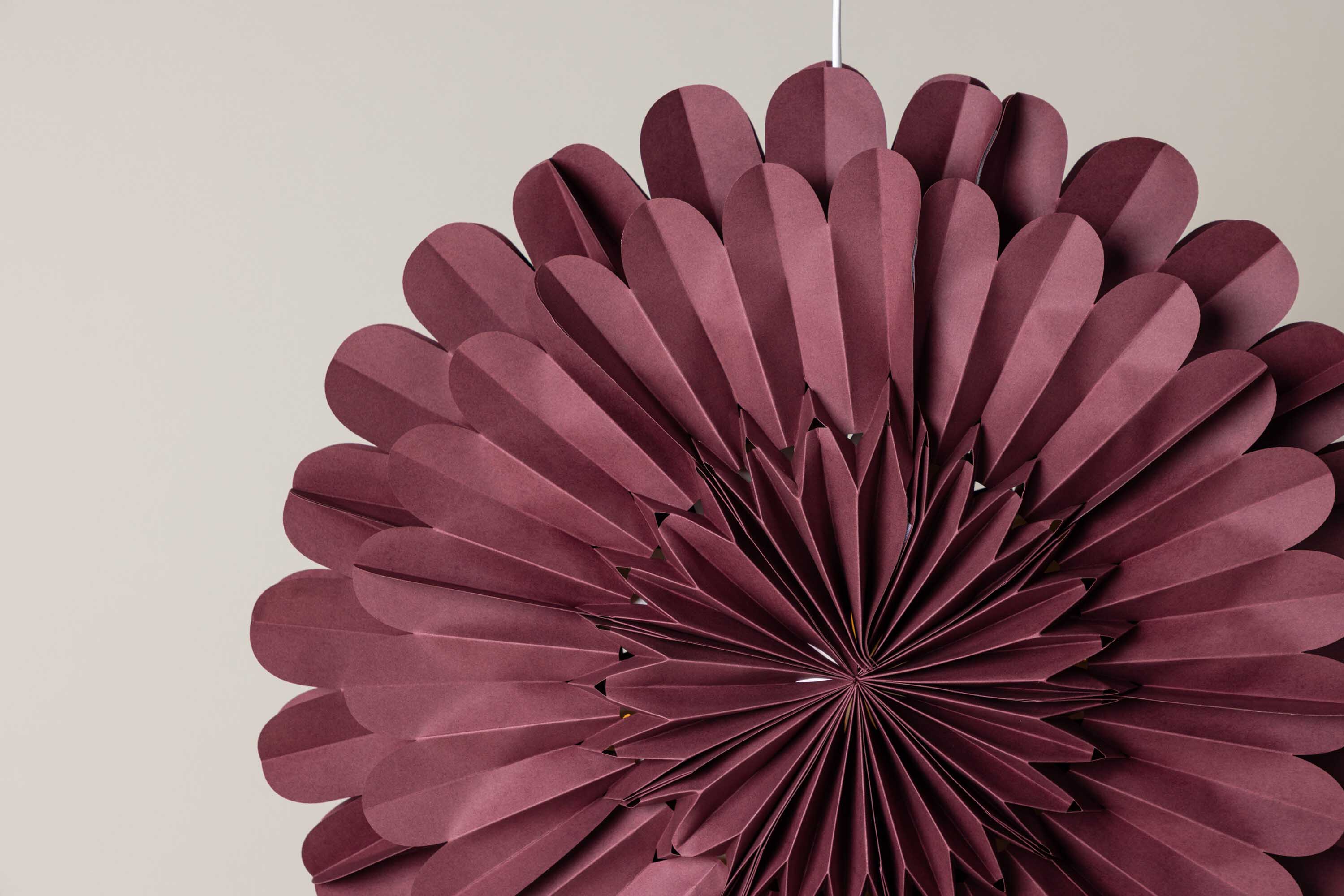 Järvsön adventsstjerne