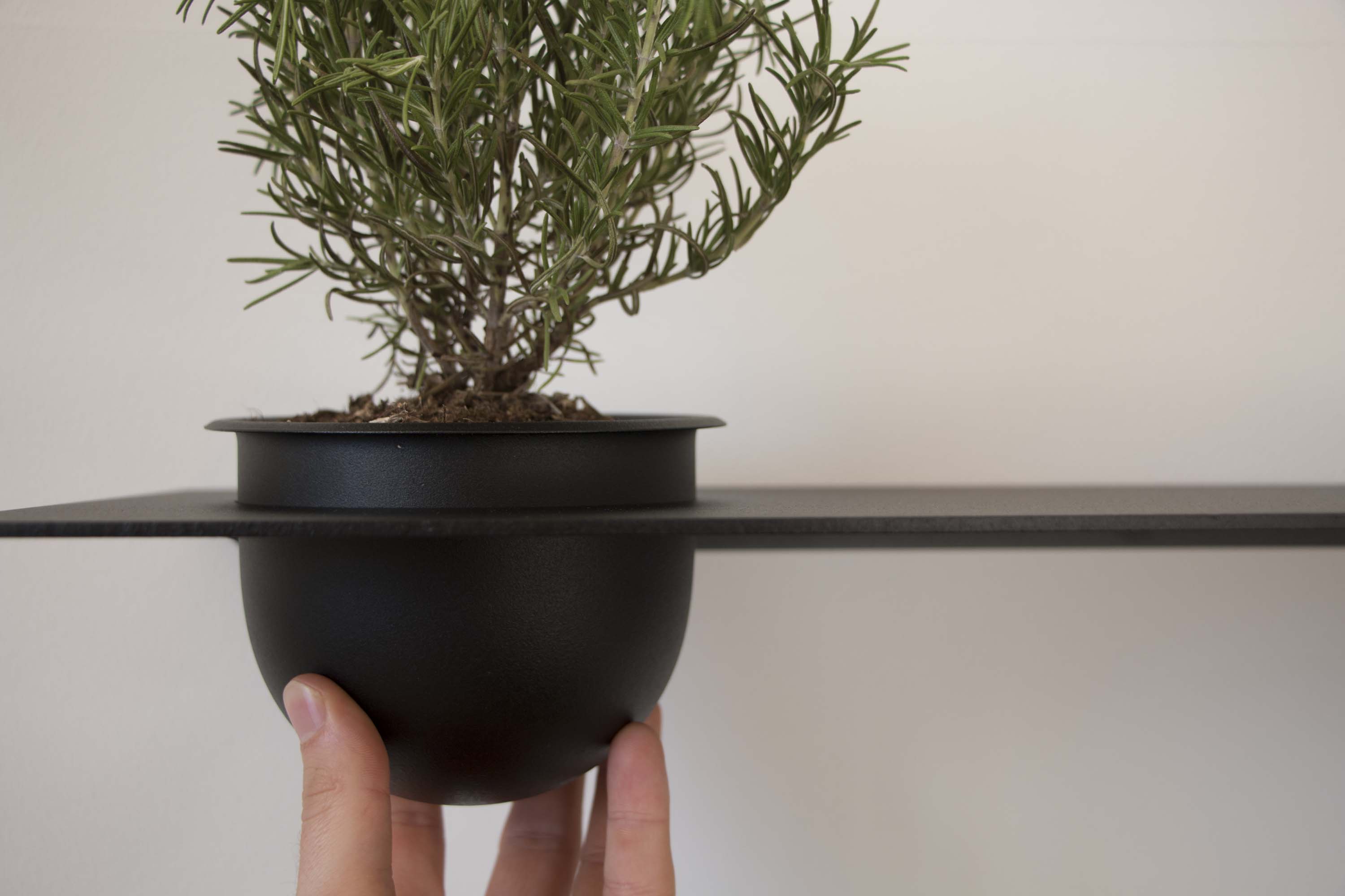 SHELVE01 hylla med skål