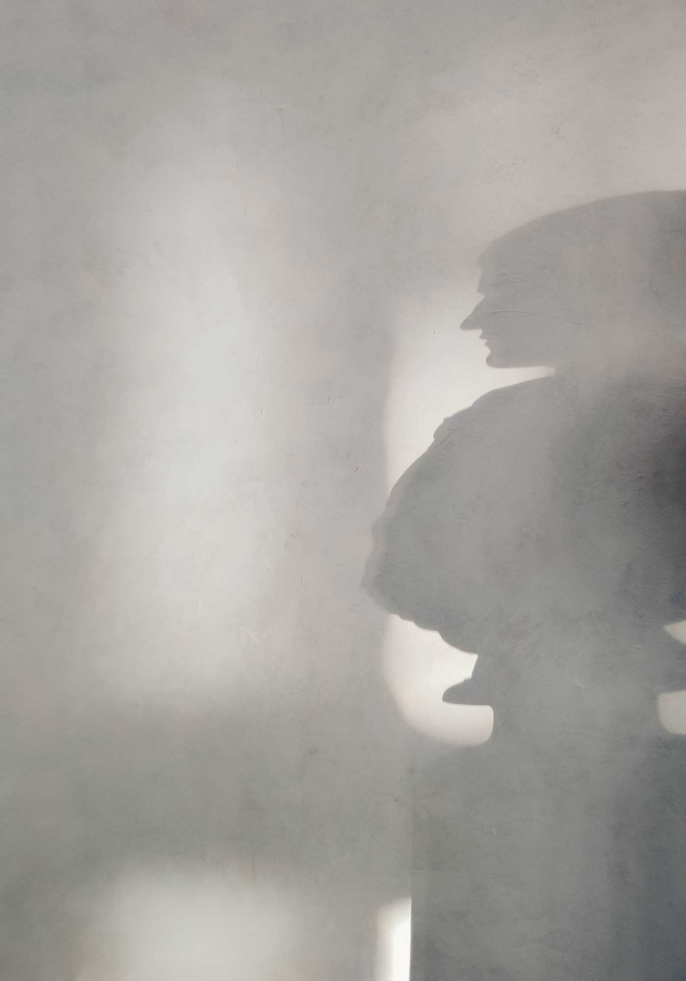 Human shadow poster