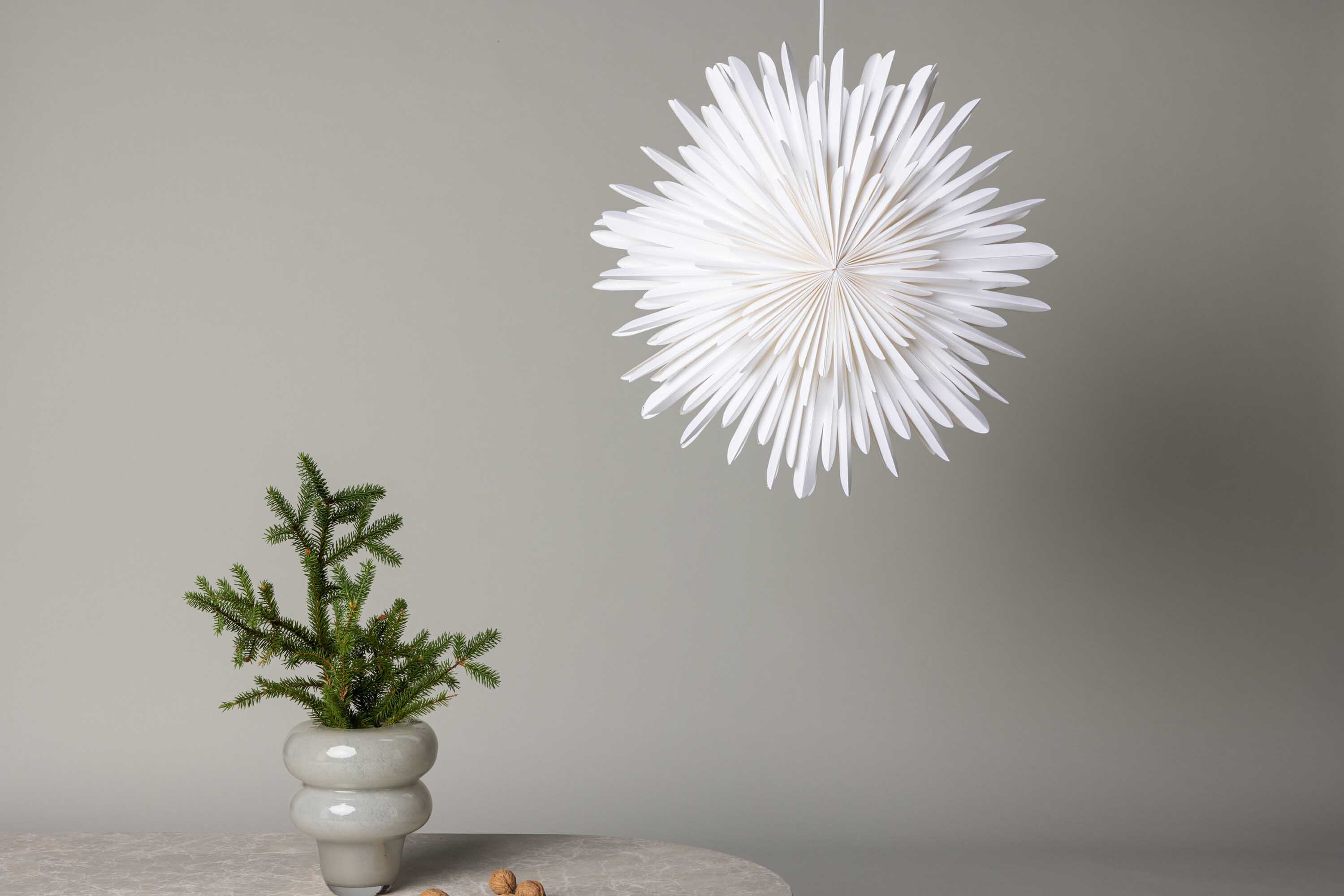 Sälen adventsstjerne