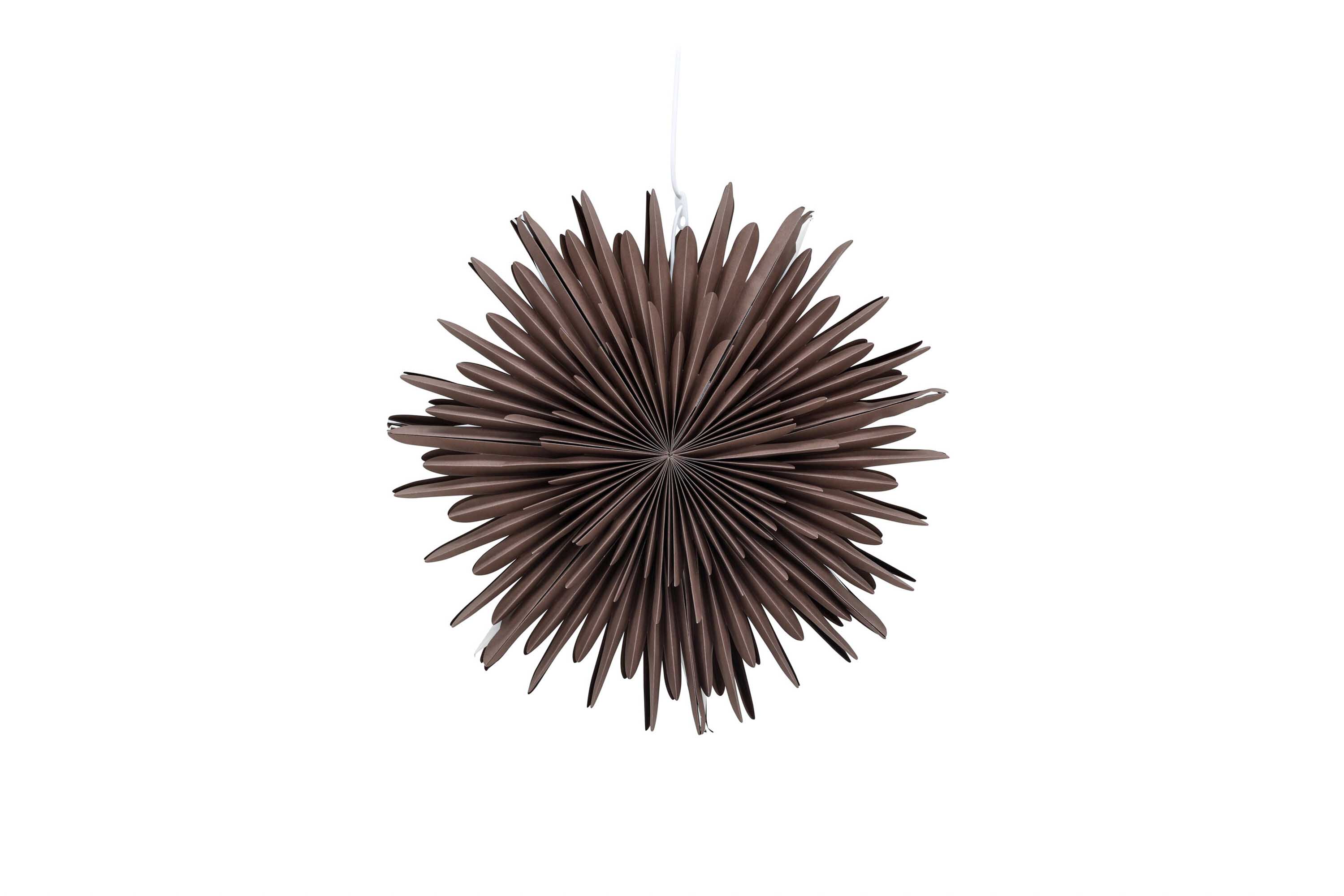 Sälen adventsstjerne