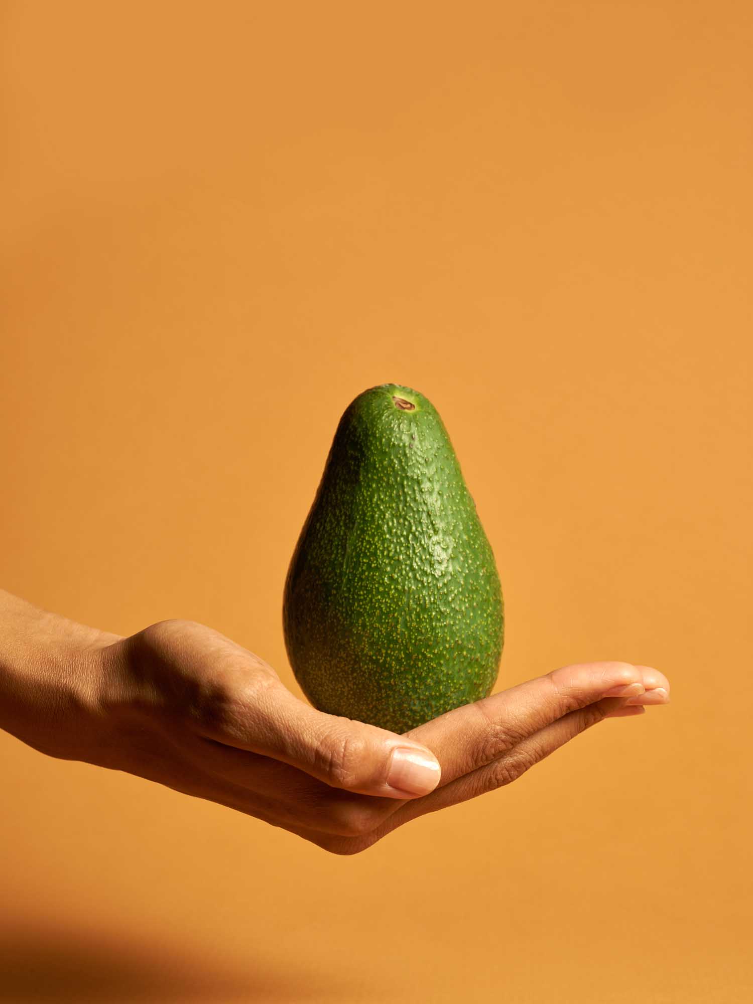 Avocado poster