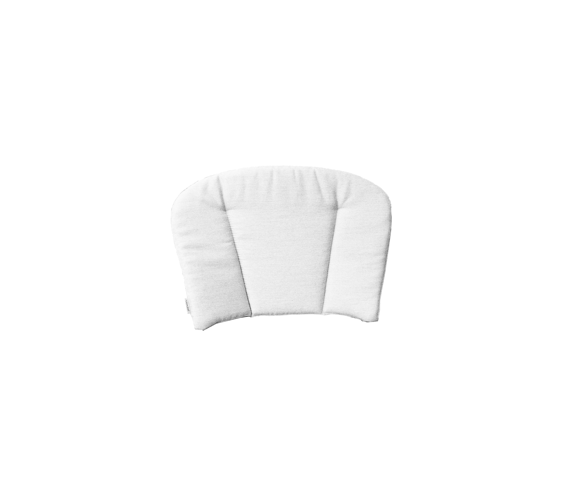 Derby/Lansing rygpude