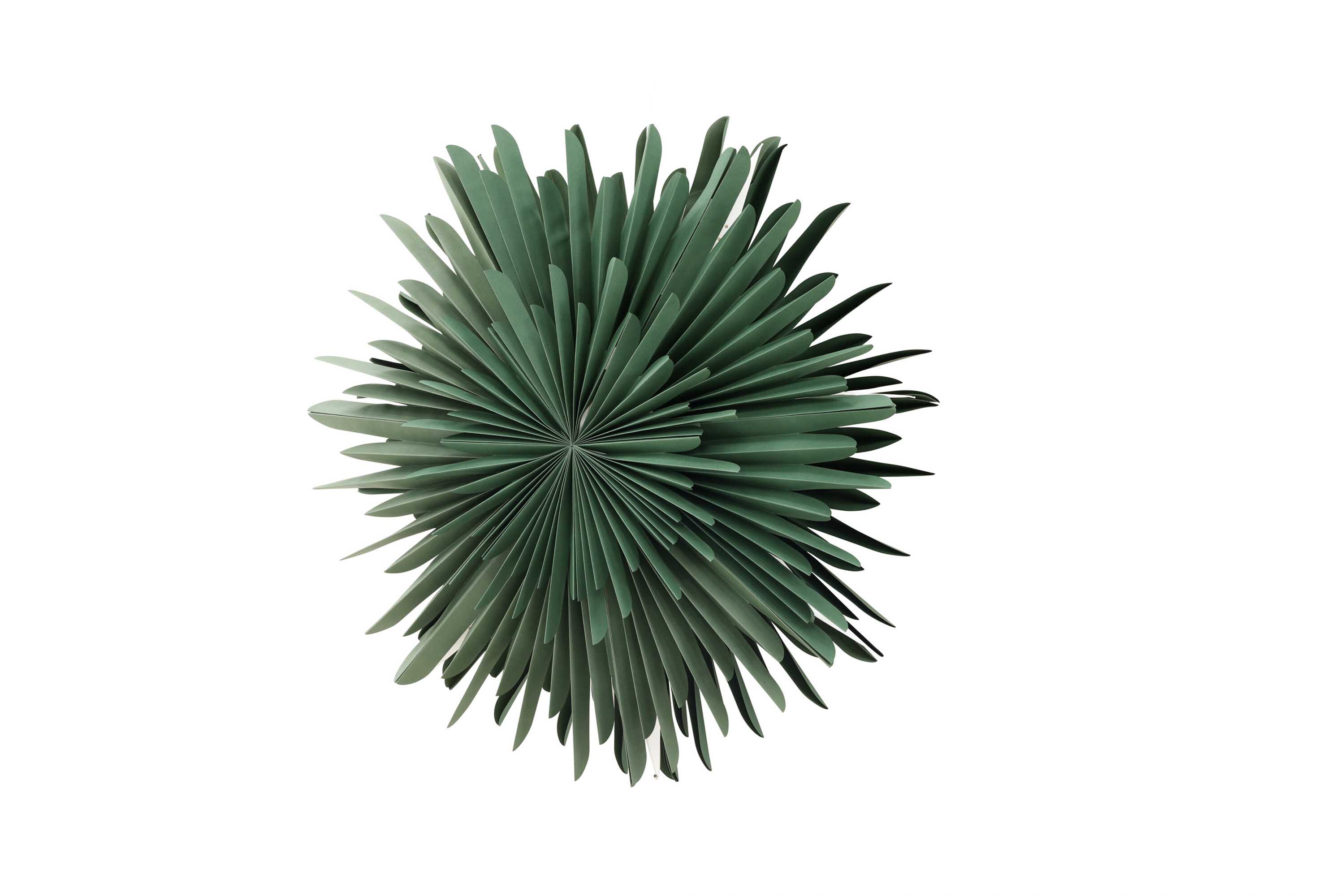 Sälen adventsstjärna